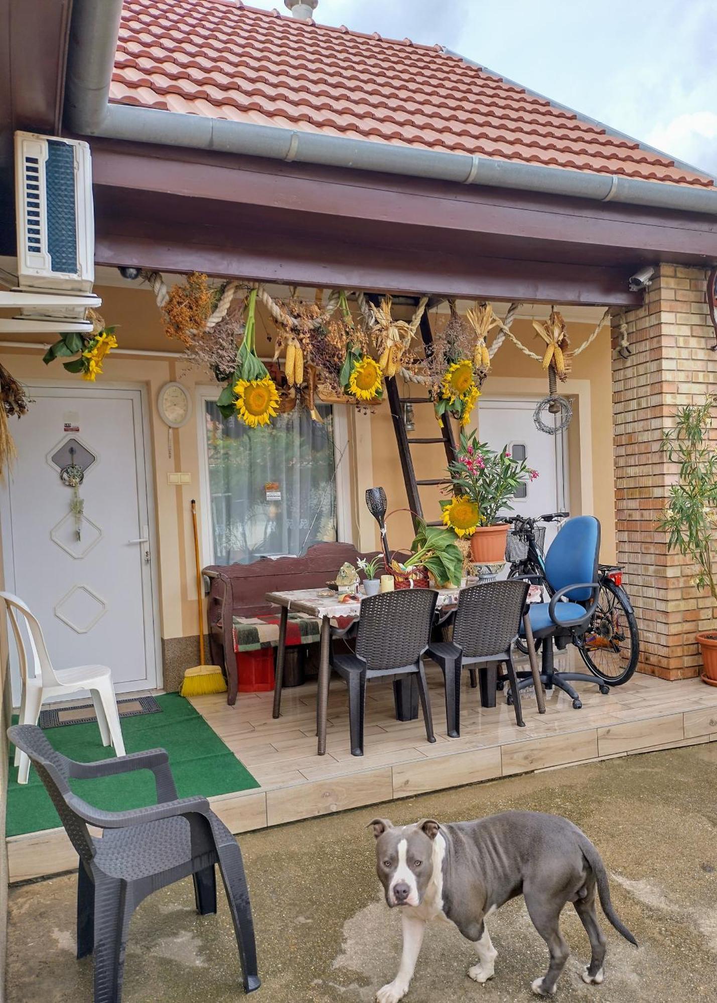 Bundik Vendeghaz Daire Berettyóújfalu Dış mekan fotoğraf